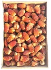 صقعي عادي رطب